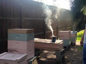 10980710_10207101954136410_3773867919473840056_n