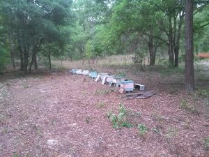 11110215_10152958565669024_797796187167506469_n