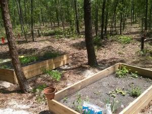 11224488_10153011101514024_2121029129843056124_n